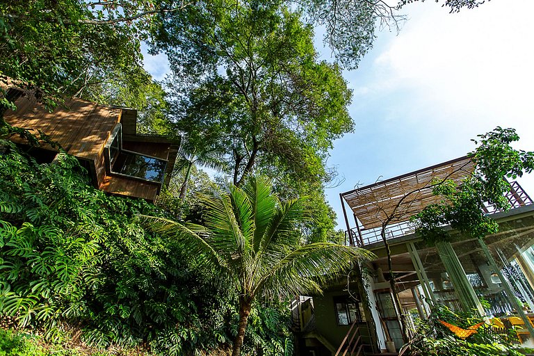 Casa na Árvores dos Sonhos