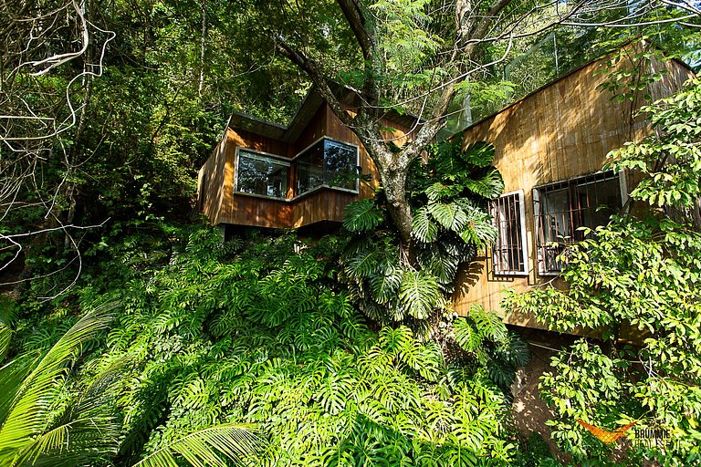 Casa na Árvores dos Sonhos
