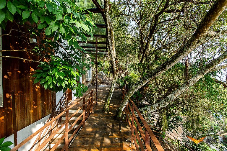 Casa na Árvores dos Sonhos